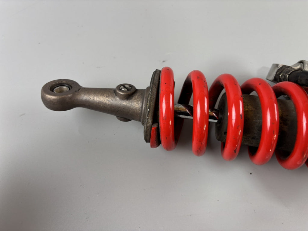 Triumph Daytona 955 T 595 Stoßdämpfer Federbein Federung Fork Spring Absorber