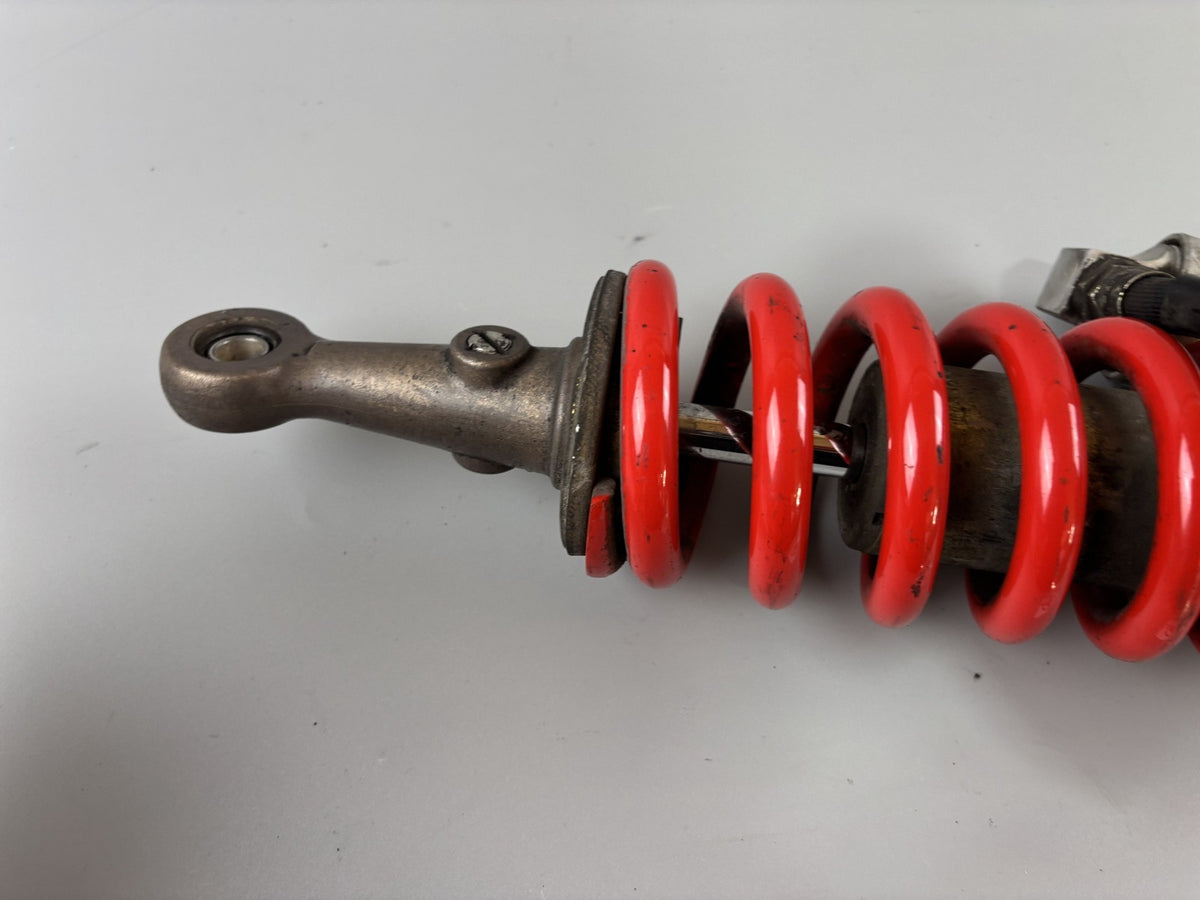 Triumph Daytona 955 T 595 Stoßdämpfer Federbein Federung Fork Spring Absorber
