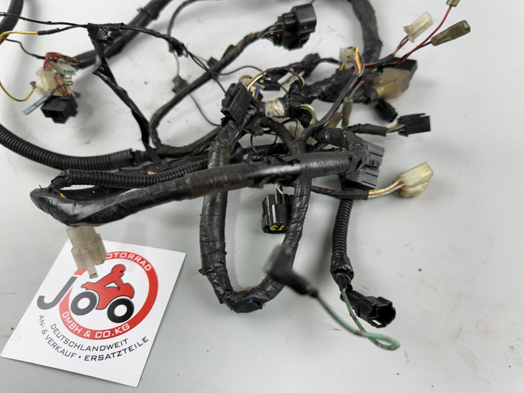 Kawasaki ZR-7 ZR750F Kabelbaum Cable Stecker Electric