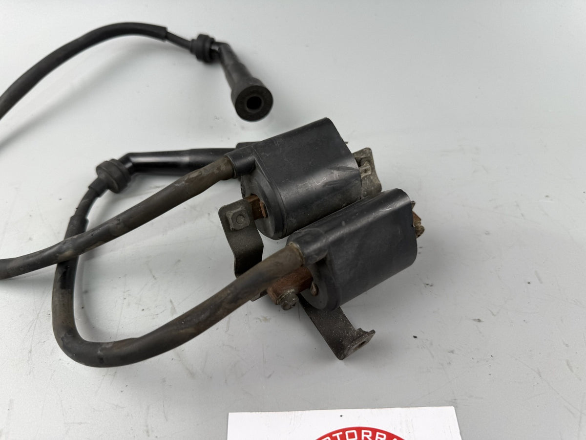 Yamaha XV535 3BR 2YL Virago Zündspule Zündkabel Zündstecker ignition