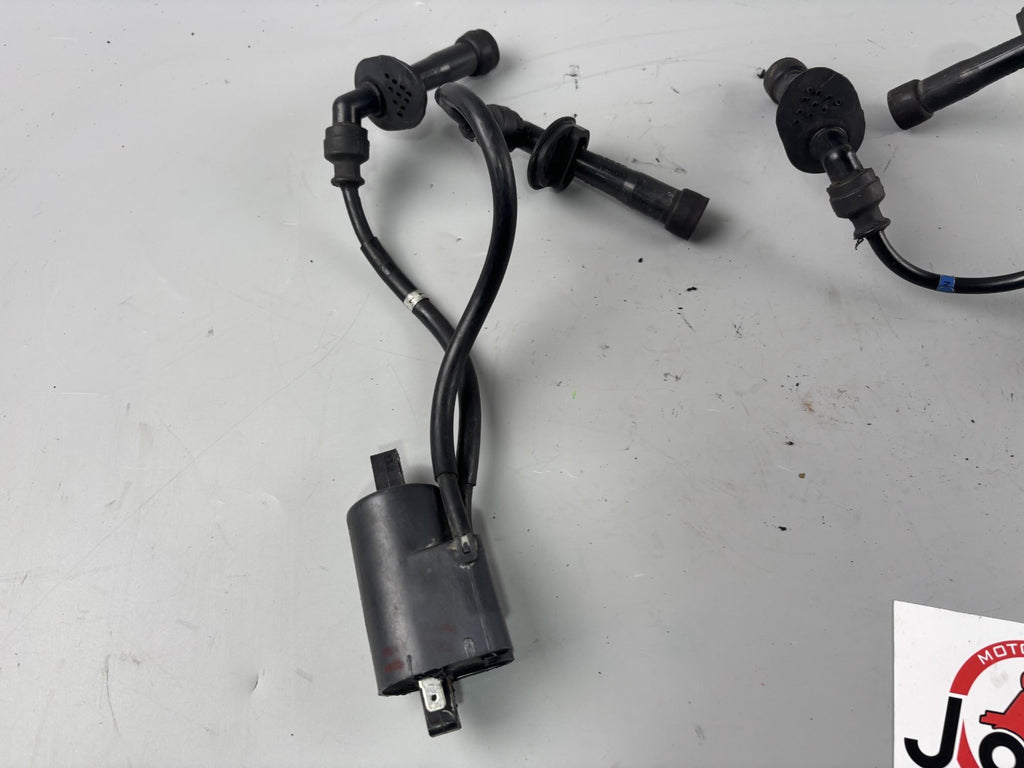 Suzuki GSX 1200 A3 Inazuma Zündspulen Zündstecker Zündkabel Ignition