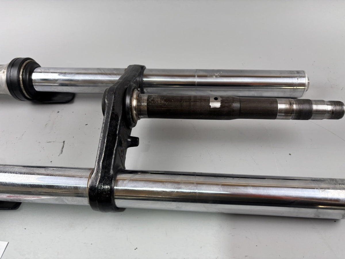 Yamaha FZS600 Fazer RJ02 Gabel Standrohr Tauchrohr Fork Absorber front vorne