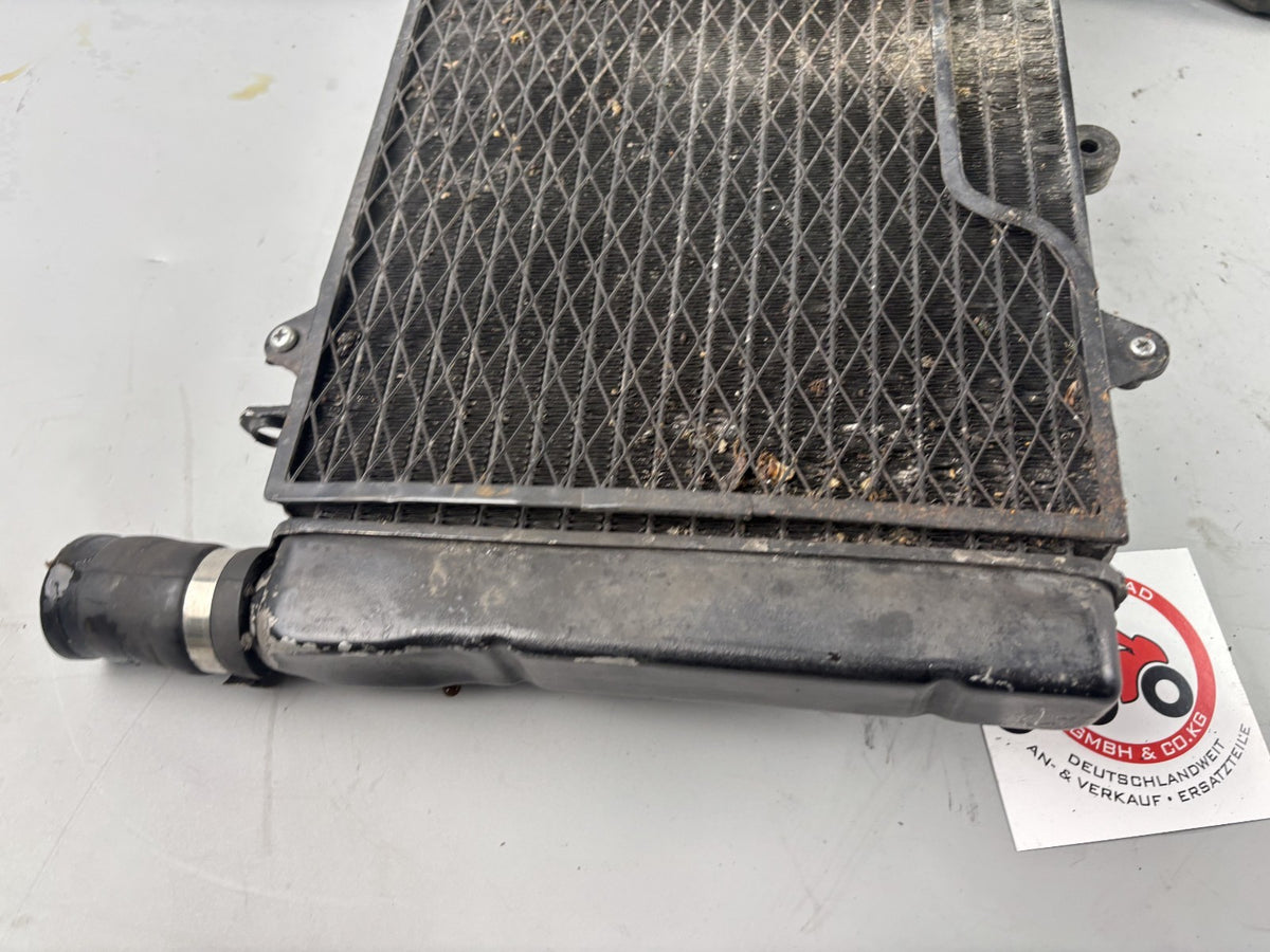 Honda CBR 1000F SC24 Wasserkühler Watercooler Liquid Motor Engine