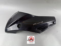 Suzuki GSF600 GN77B Frontverkleidung Seitenteil Seitenverkleidung links Kanzel