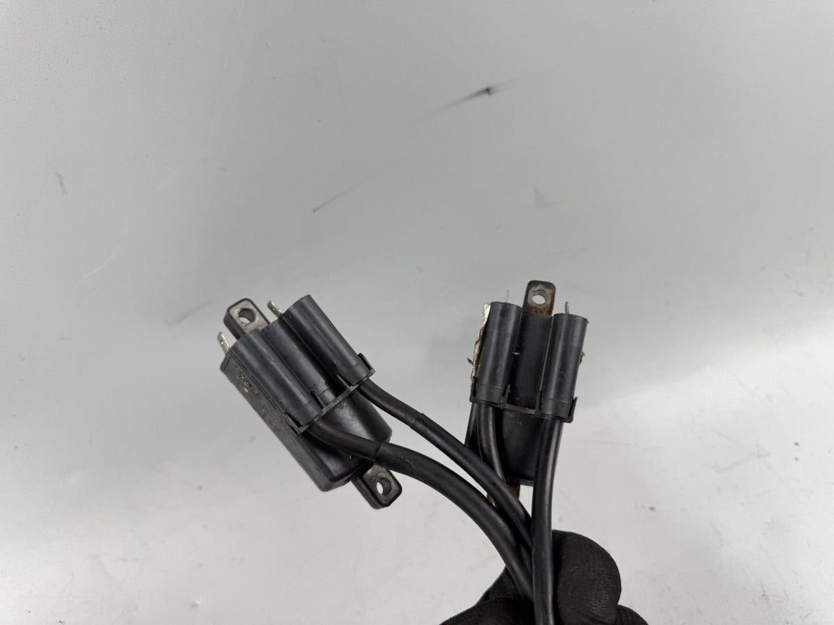 Suzuki GSX 750 AE Inazuma Zündspulen zündstecker Ignition Zündkabel Motor