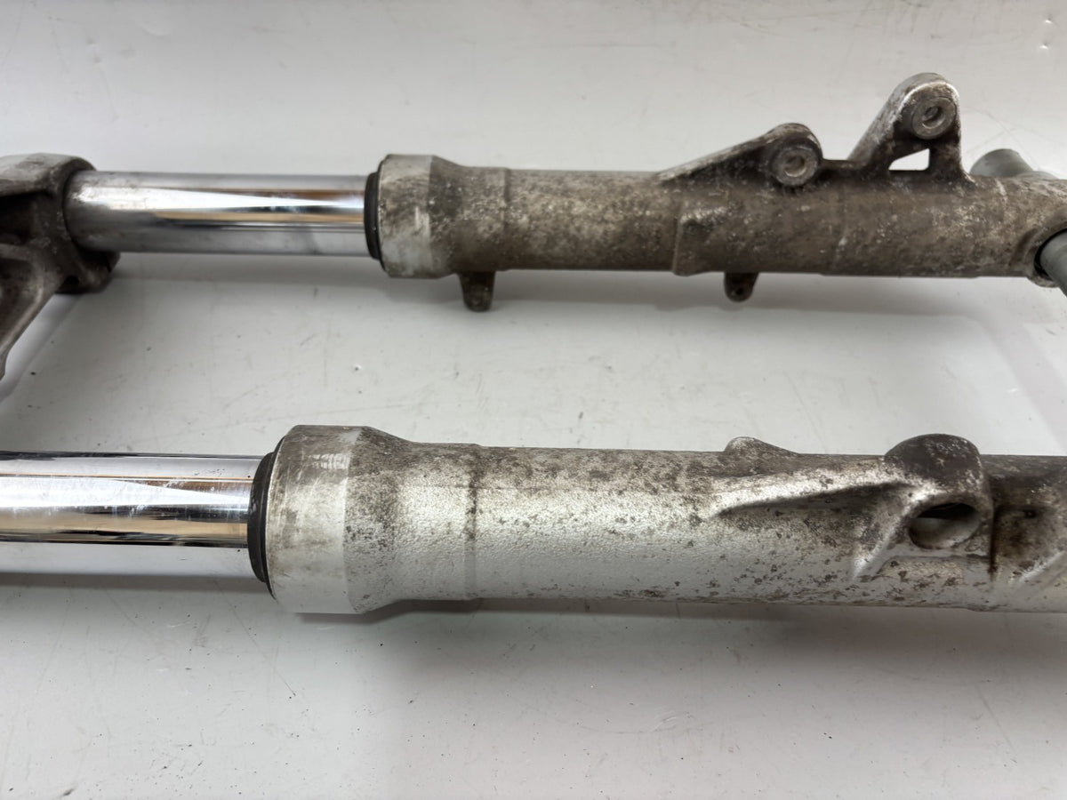 BMW F800 S Gabel Standrohr Tauchrohr Fork Asborber Federung Federbein Spring