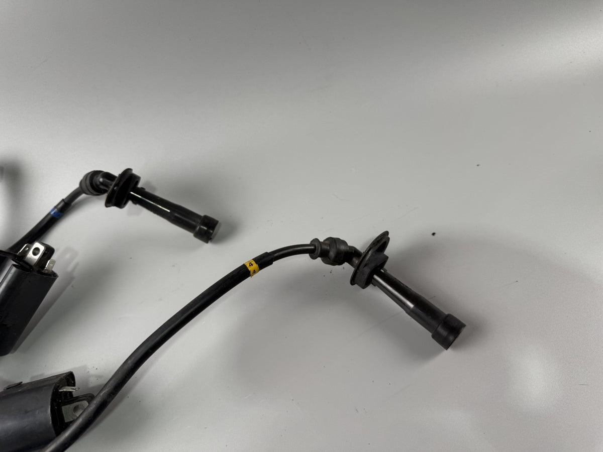 Suzuki GSF 600 Bandit POP WVA8 Zündspule Zündstecker Zündkabel Ignition