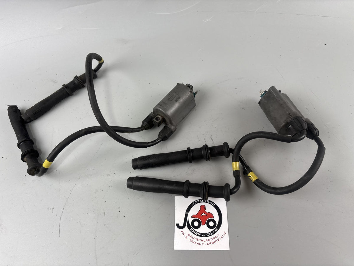 Kawasaki ZZR600D ZX600D Zündspule Zündspulen Zündkabel Zündstecker Ignition