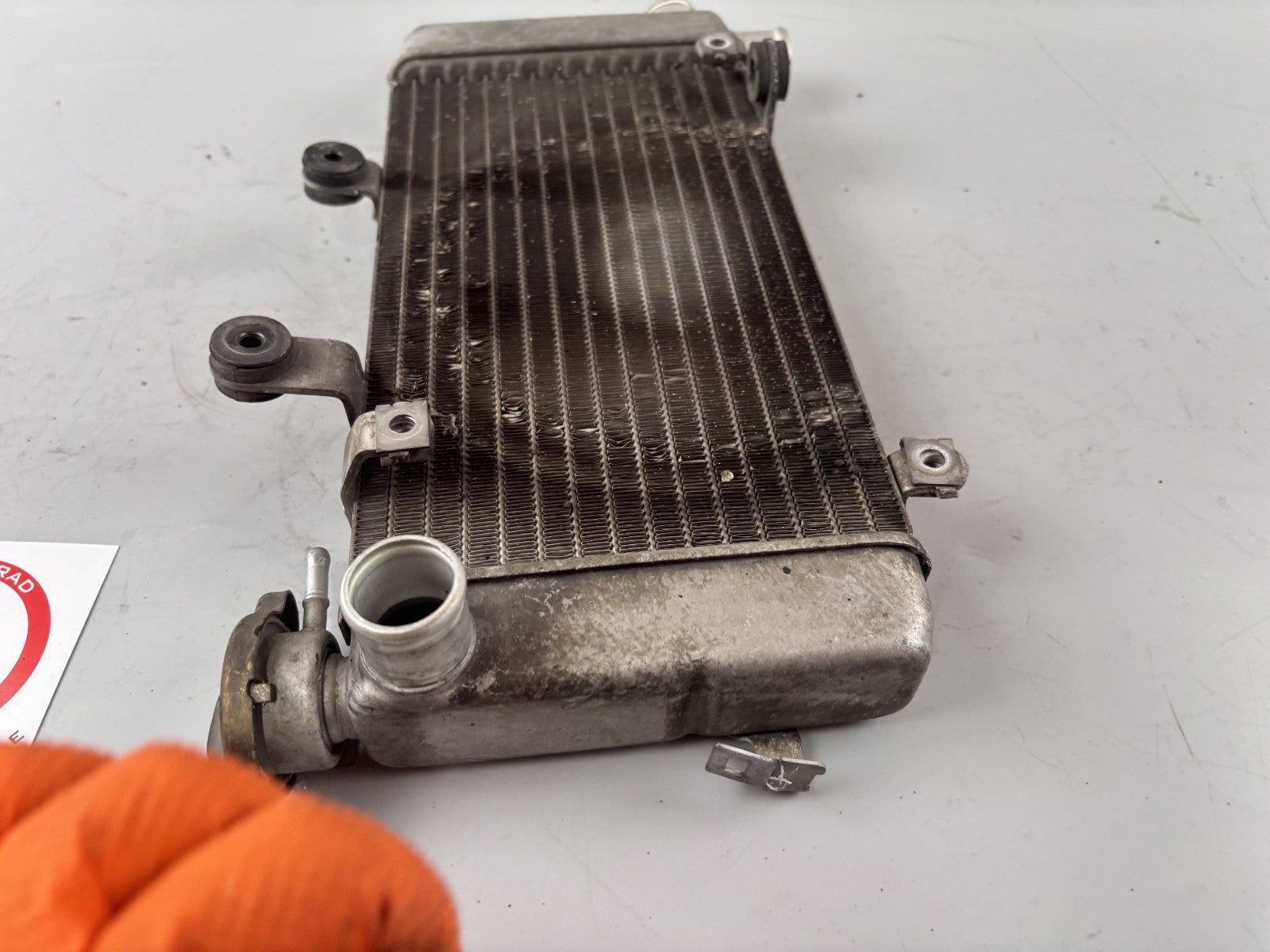 Honda VTR1000 F SC36 Firestorm Wasserkühler Watercooler Liquid Motor Kühlung