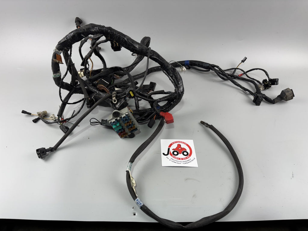 Triumph Daytona 955i T595 N 2002 Kabelbaum Stecker Cable Electric