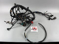Triumph Daytona 955i T595 N 2002 Kabelbaum Stecker Cable Electric