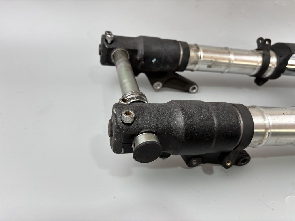 Triumph Daytona 955 T 595 Gabel Standrohr Tauchrohr Fork Absorber Federung front
