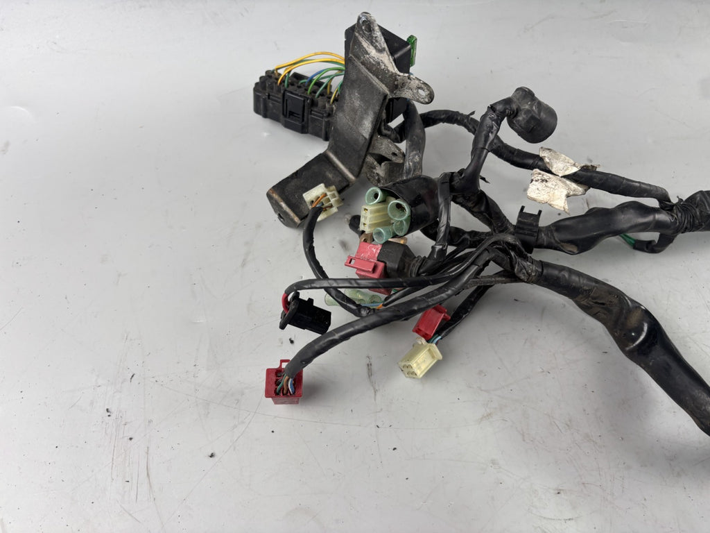 Honda SLR 650 Vigor FX 650 RD09 Kabelbaum Kabelstrang Electric Stecker