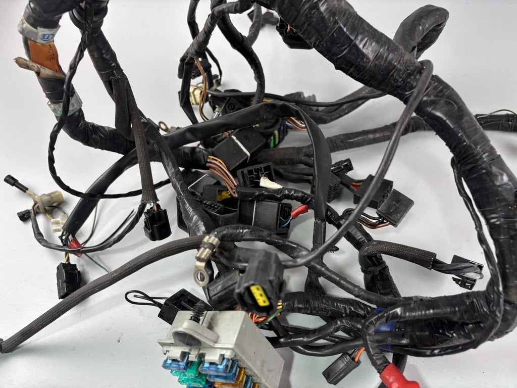 Triumph Daytona 955i T595 N 2002 Kabelbaum Stecker Cable Electric