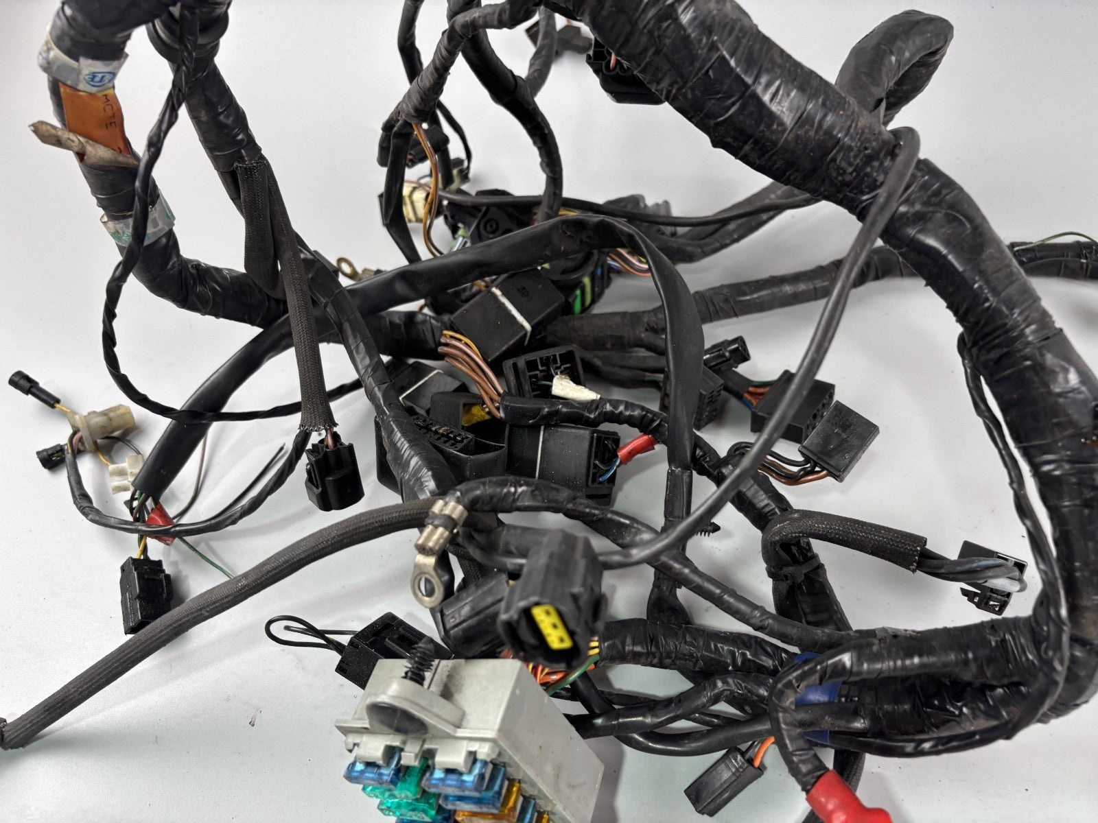 Triumph Daytona 955i T595 N 2002 Kabelbaum Stecker Cable Electric
