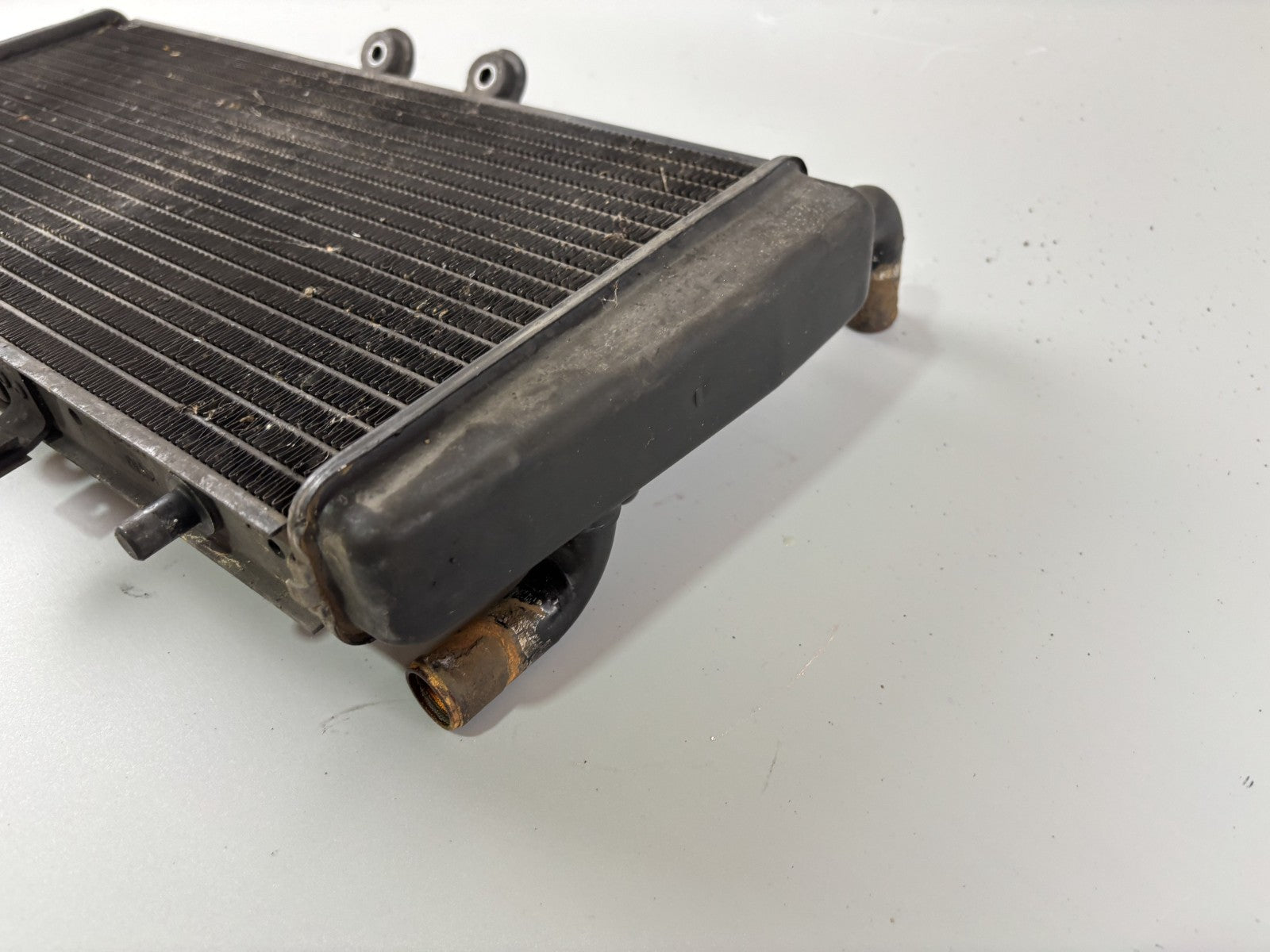 Triumph Daytona 955 T 595 Wasserkühler Cooler Engine Motor Watercooler