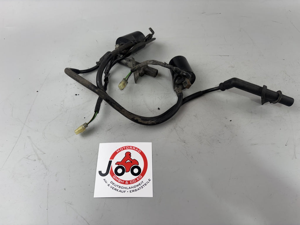 Honda VTR1000 F SC36 Firestorm Zündspulen Zündstecker Zündkabel ignition