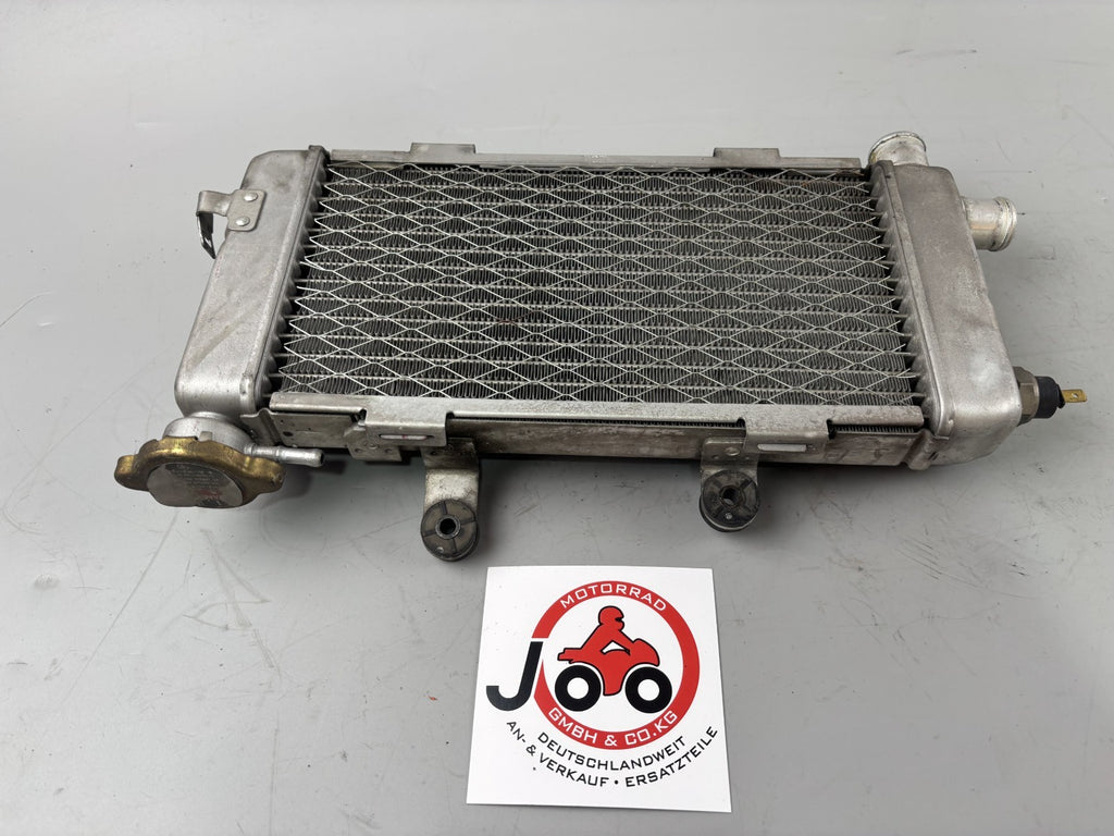 Honda VTR1000 F SC36 Firestorm Wasserkühler Watercooler Liquid Motor Kühlung
