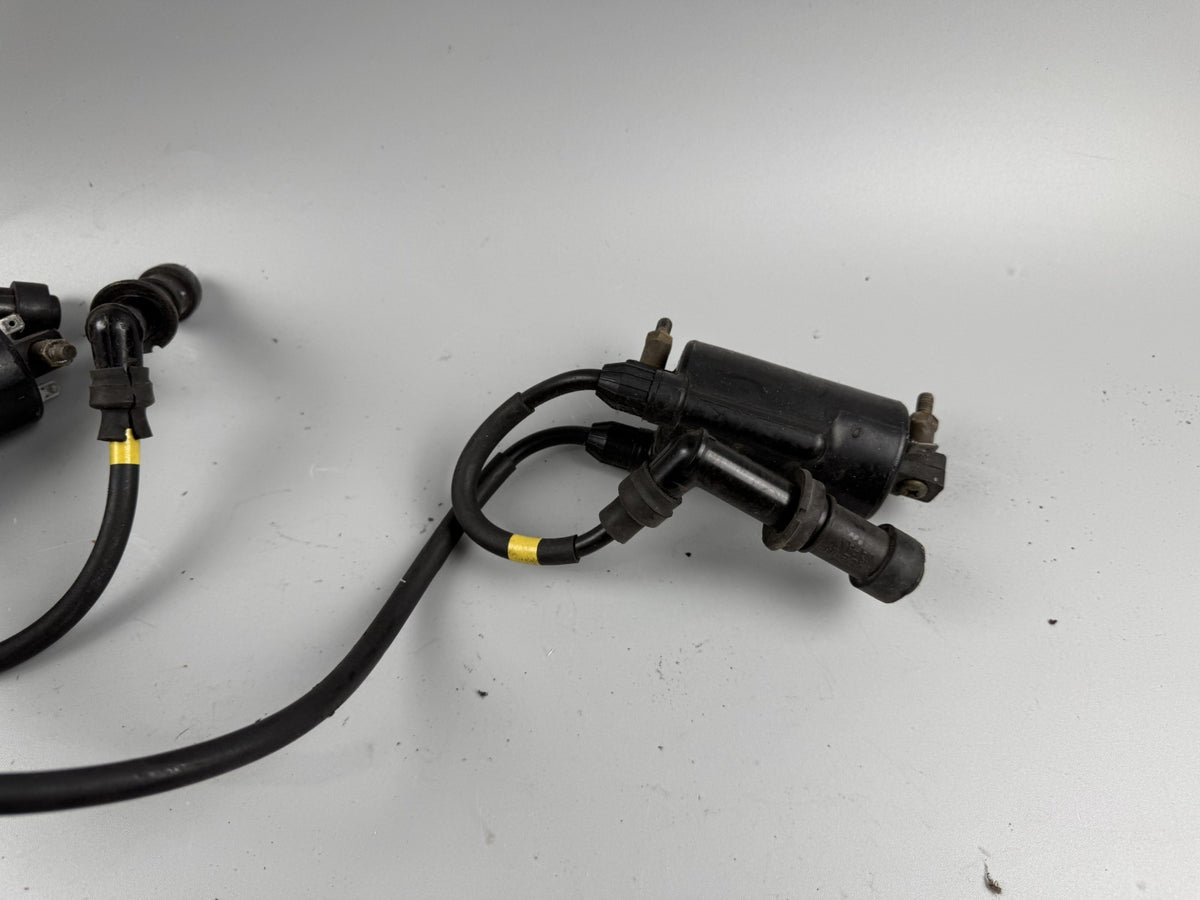 Suzuki GSX 750 AE Inazuma Zündspulen zündstecker Ignition Zündkabel Motor