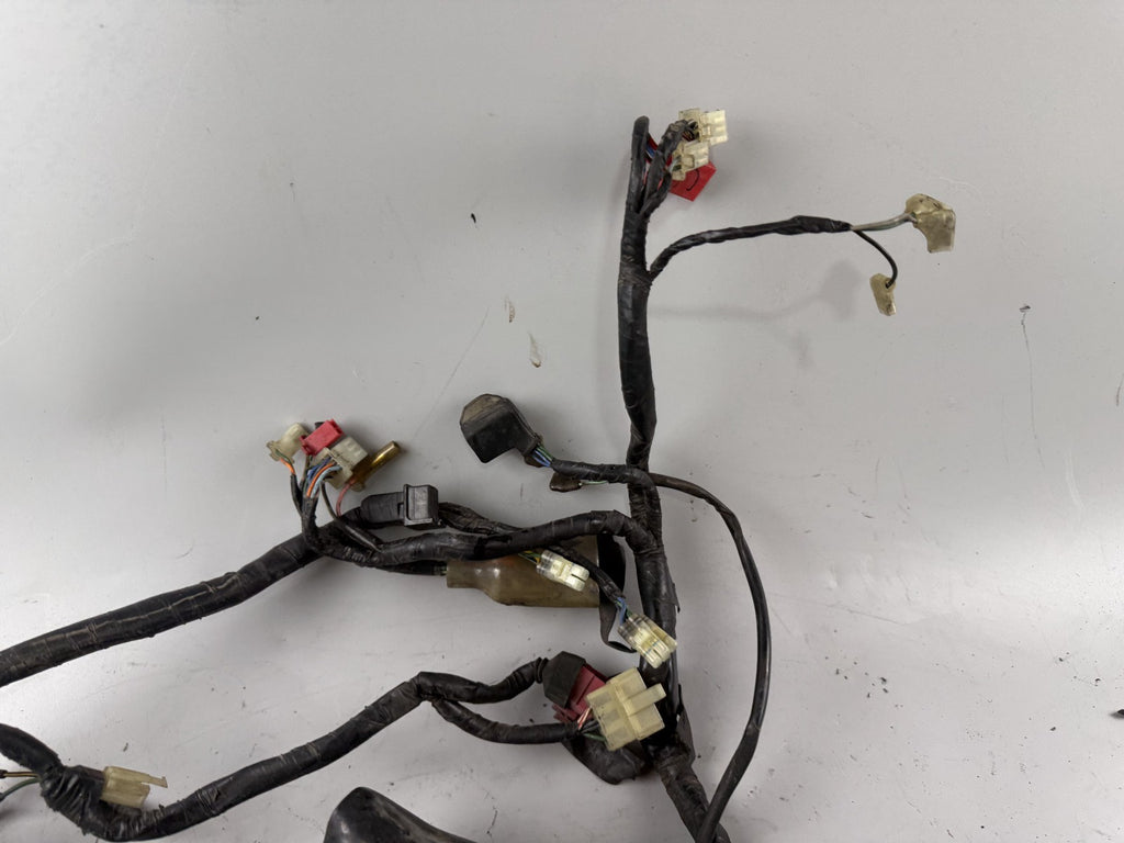 Honda XL600 R Transalp PD 06 Kabelbaum Kabelstrang Cable Stecker Electric