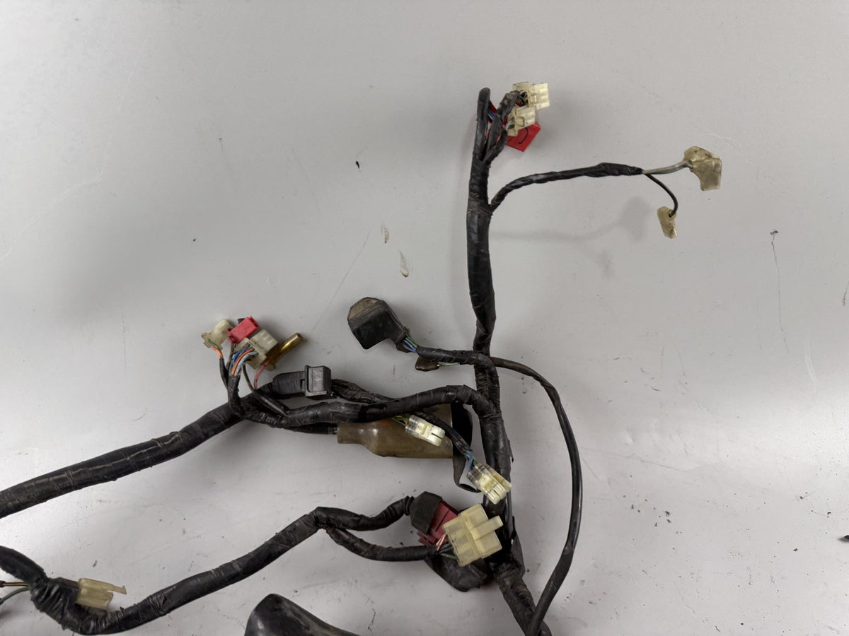 Honda XL600 R Transalp PD 06 Kabelbaum Kabelstrang Cable Stecker Electric