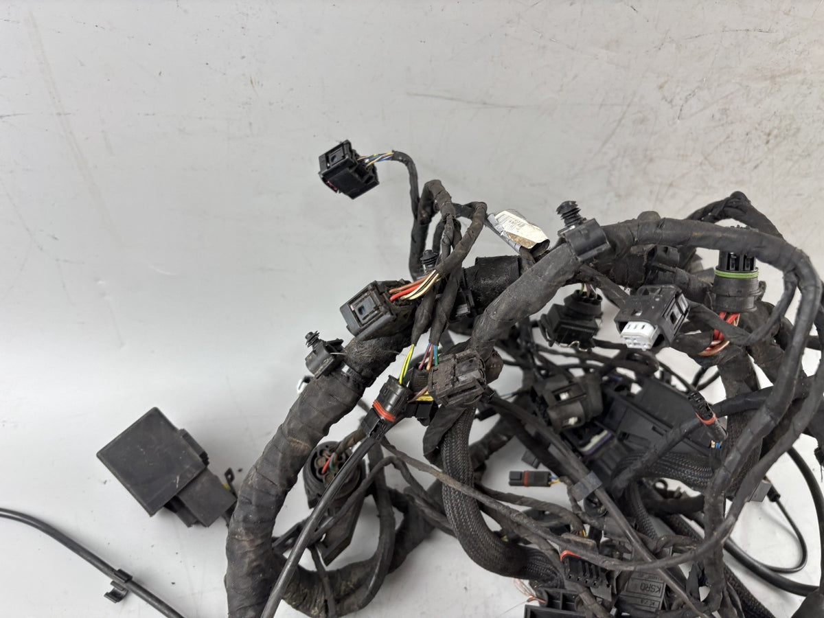 BMW F800 S Kabelbaum Kabelstrang Cable Stecker Electric