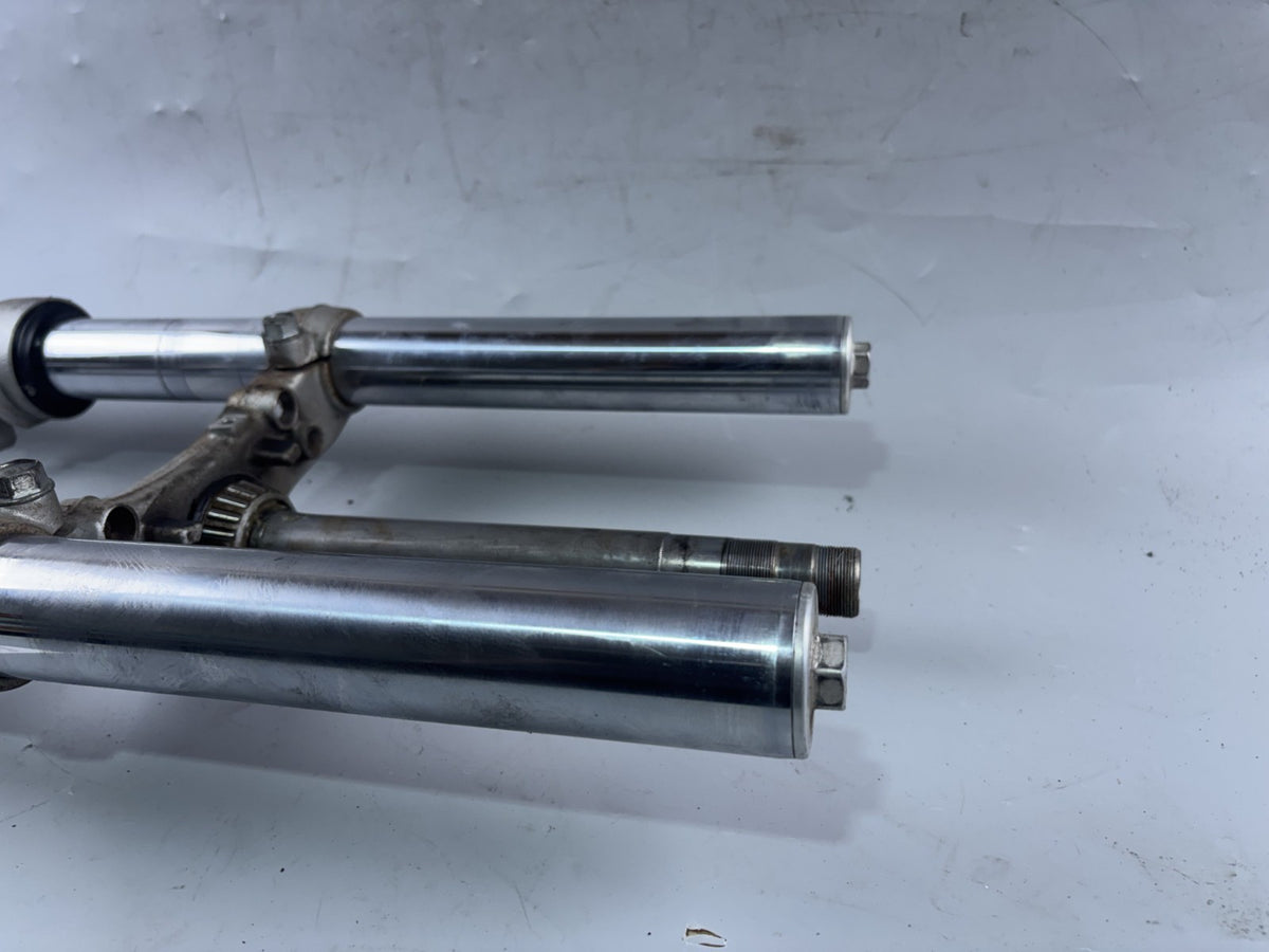 Honda CB 600 F Hornet PC34 Gabel Standrohr Tauchrohr Fork Absorber Shoks
