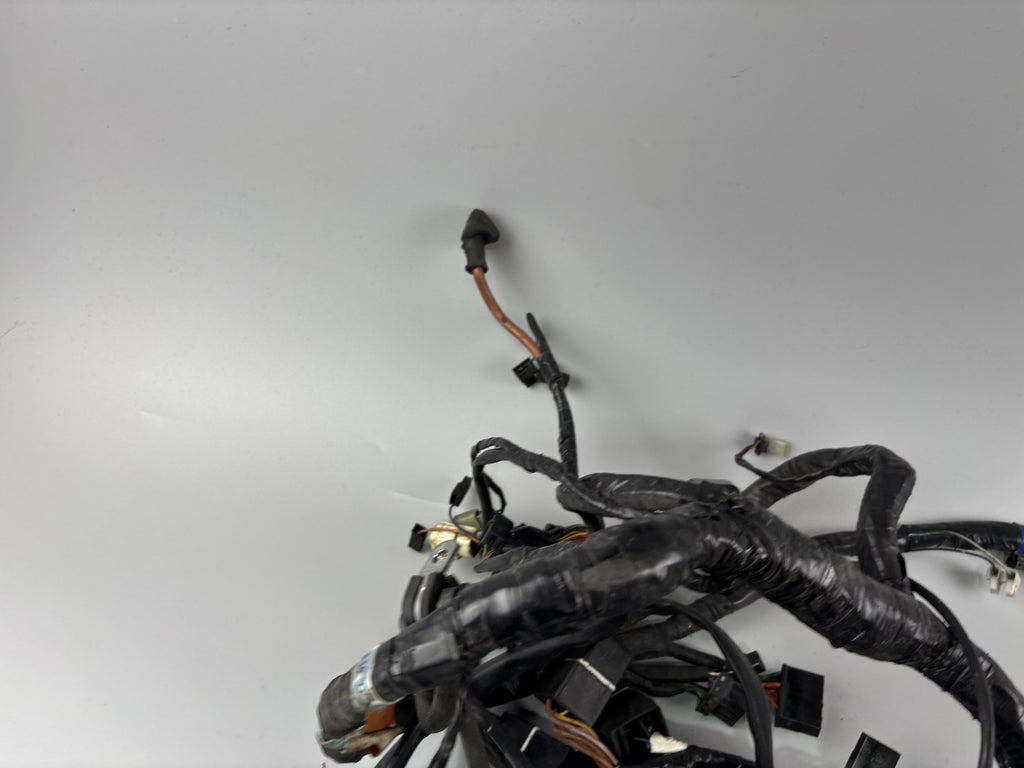 Triumph Daytona 955i T595 N 2002 Kabelbaum Stecker Cable Electric