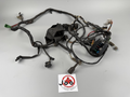Suzuki GSF600 GN77B Kabelbaum Cable Electric Stecker