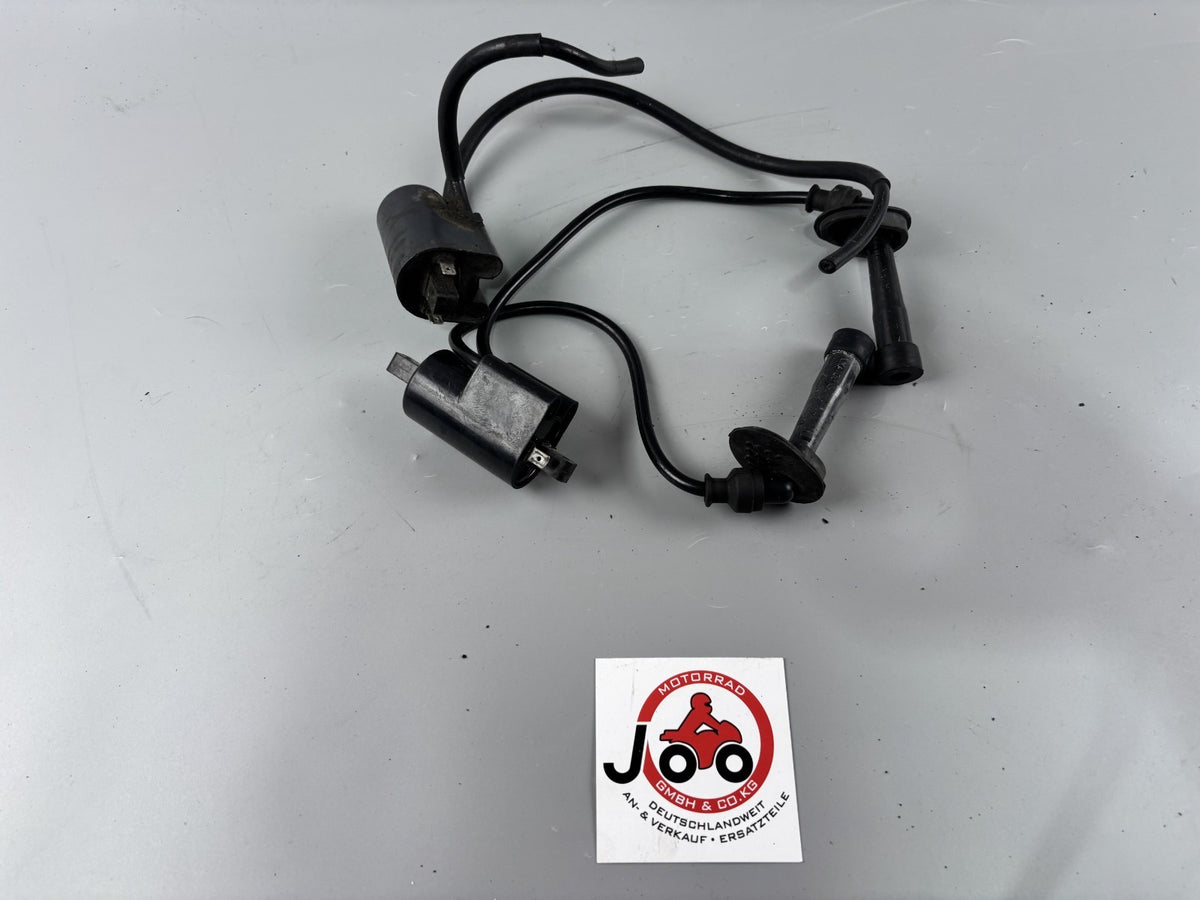 Suzuki GSF600 GN77B Zündspulen Zündspule Zündkabel Zündstecker Ignition