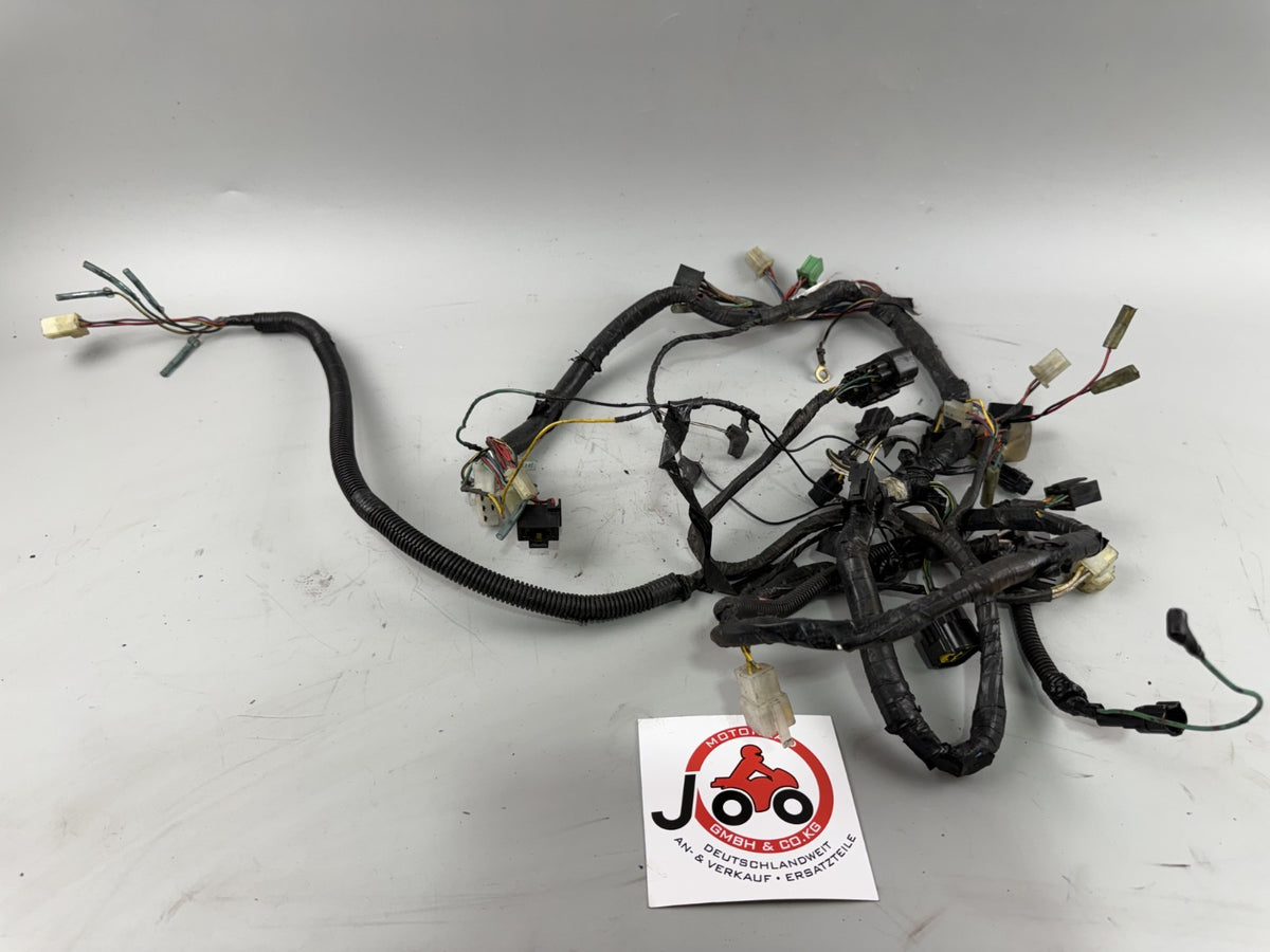 Kawasaki ZR-7 ZR750F Kabelbaum Cable Stecker Electric