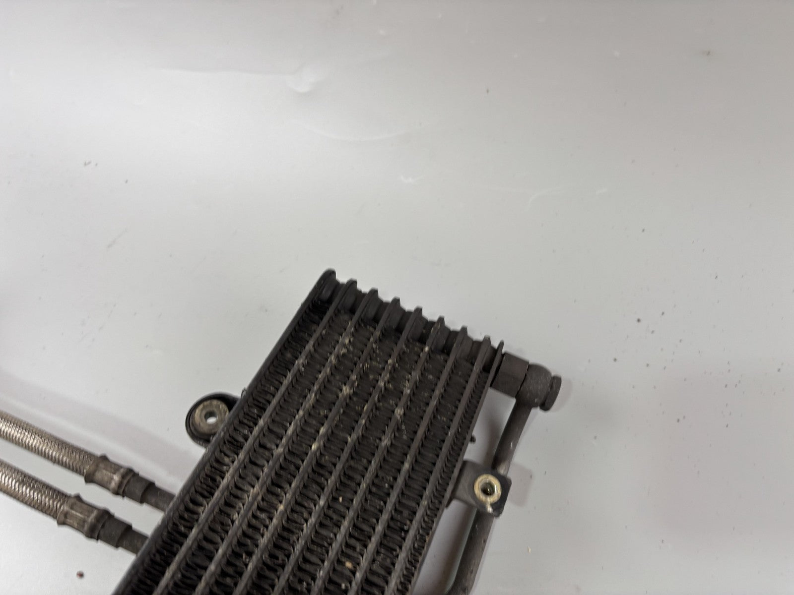 Triumph Daytona 955 T 595 Ölkühler Cooler Engine Motor Oilcooler