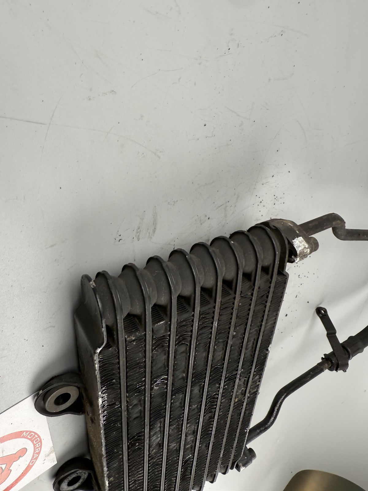 Suzuki GSF600 GN77B Bandit Kühler Ölkühler Cooler Liquid Oel Motor Engine