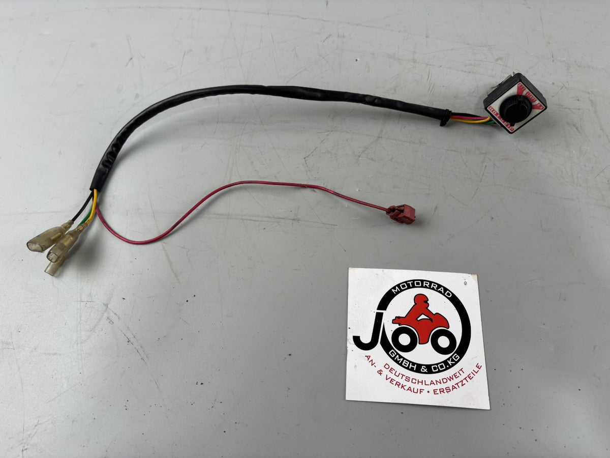 Yamaha FZS600 Fazer RJ02 Schalter Switch Electric