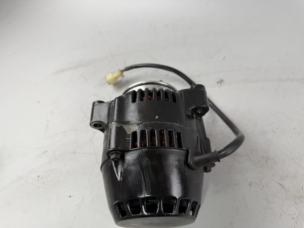 Triumph Daytona 1200 T300D Lima Lichtmaschine Lightmachine Generator