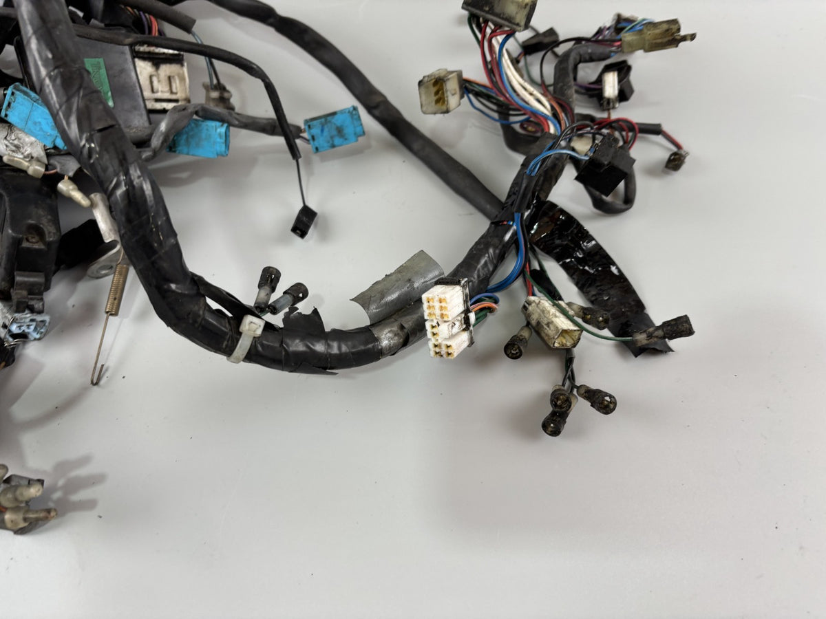 Triumph Daytona 955 T 595 Kabelbaum Cable Stecker Electric