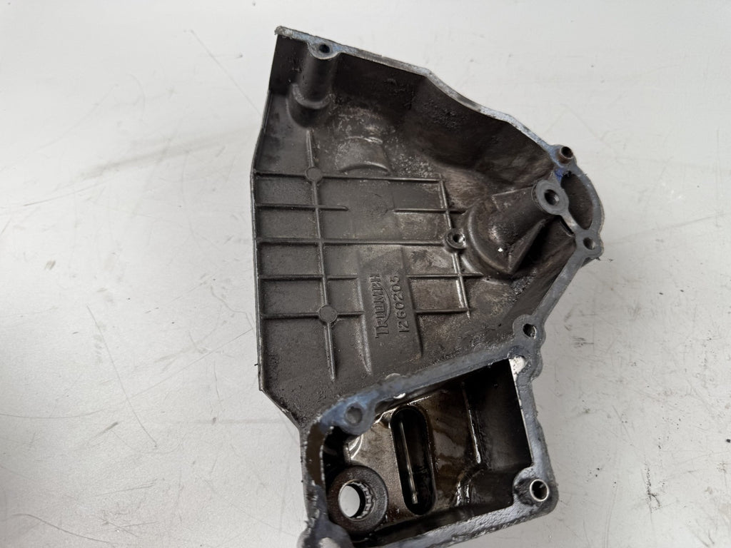 Triumph Daytona 1200 T300D Ritzelabdeckung Motordeckel Cover Abdeckung