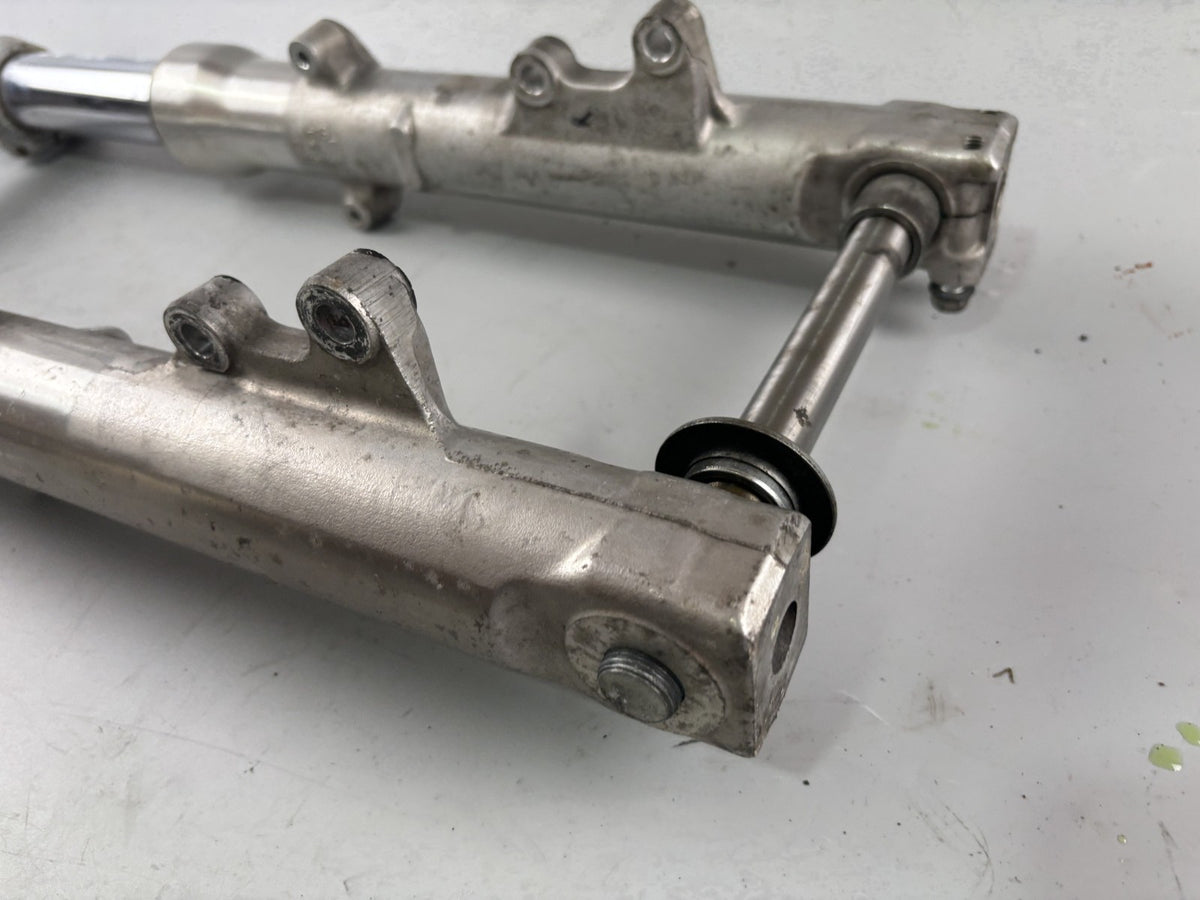 Suzuki GSX750 AE Inazuma Gabel Standrohr Tauchrohr Fork Absorber shoks
