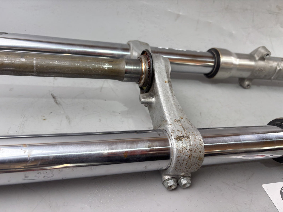 Suzuki GSX750 AE Inazuma Gabel Standrohr Tauchrohr Fork Absorber shoks
