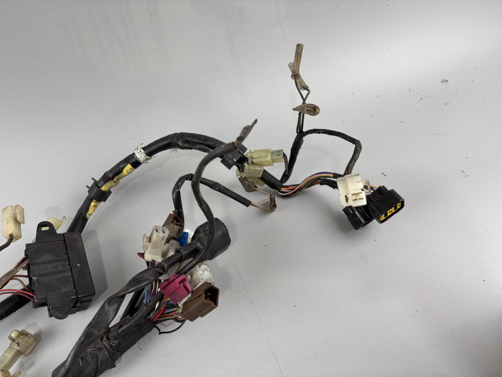 Yamaha FZS600 Fazer RJ02 Kabelbaum Cable Electric Stecker Motor Engine