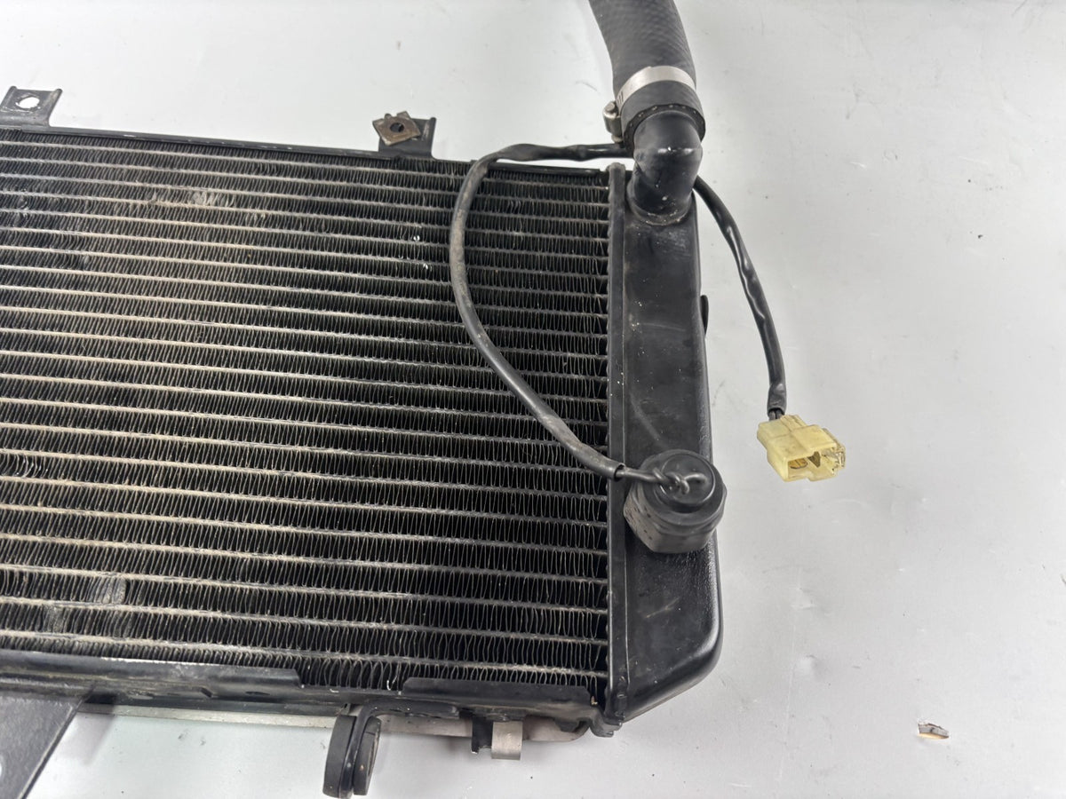 Kawasaki ZRX1100 ZRT10C Wasserkühler Watercooler Engine Liquid Kühlung