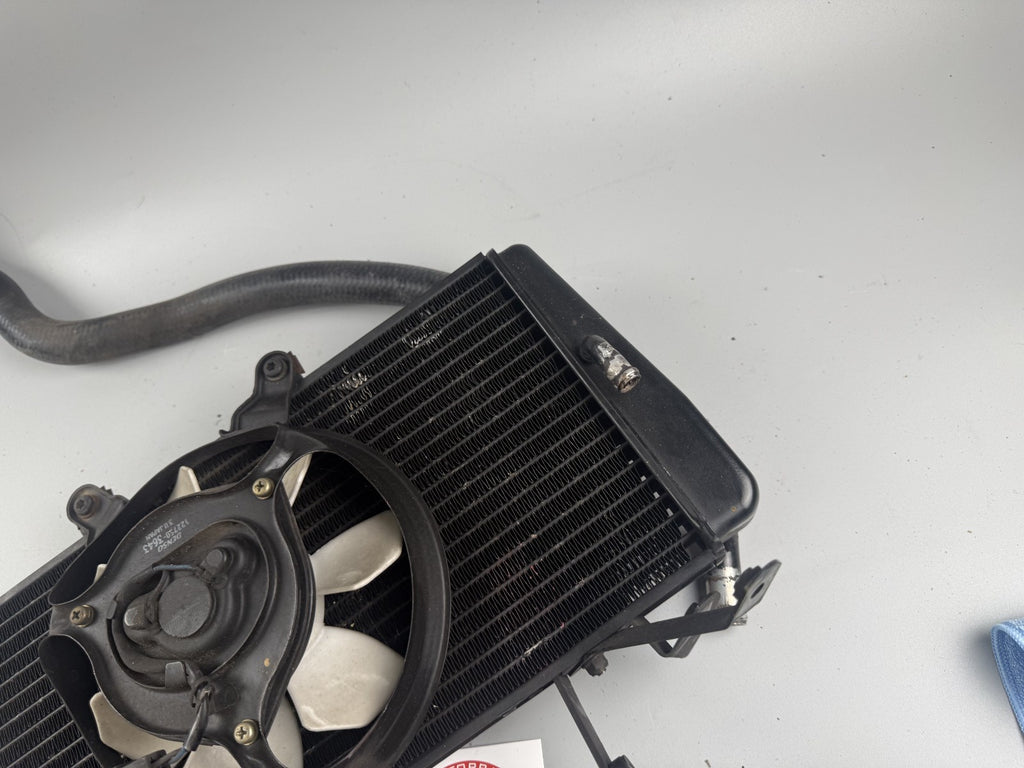Triumph Sprint 955i ST T695 Wasserkühler Watercooler liquid Motor Engine Kühlung