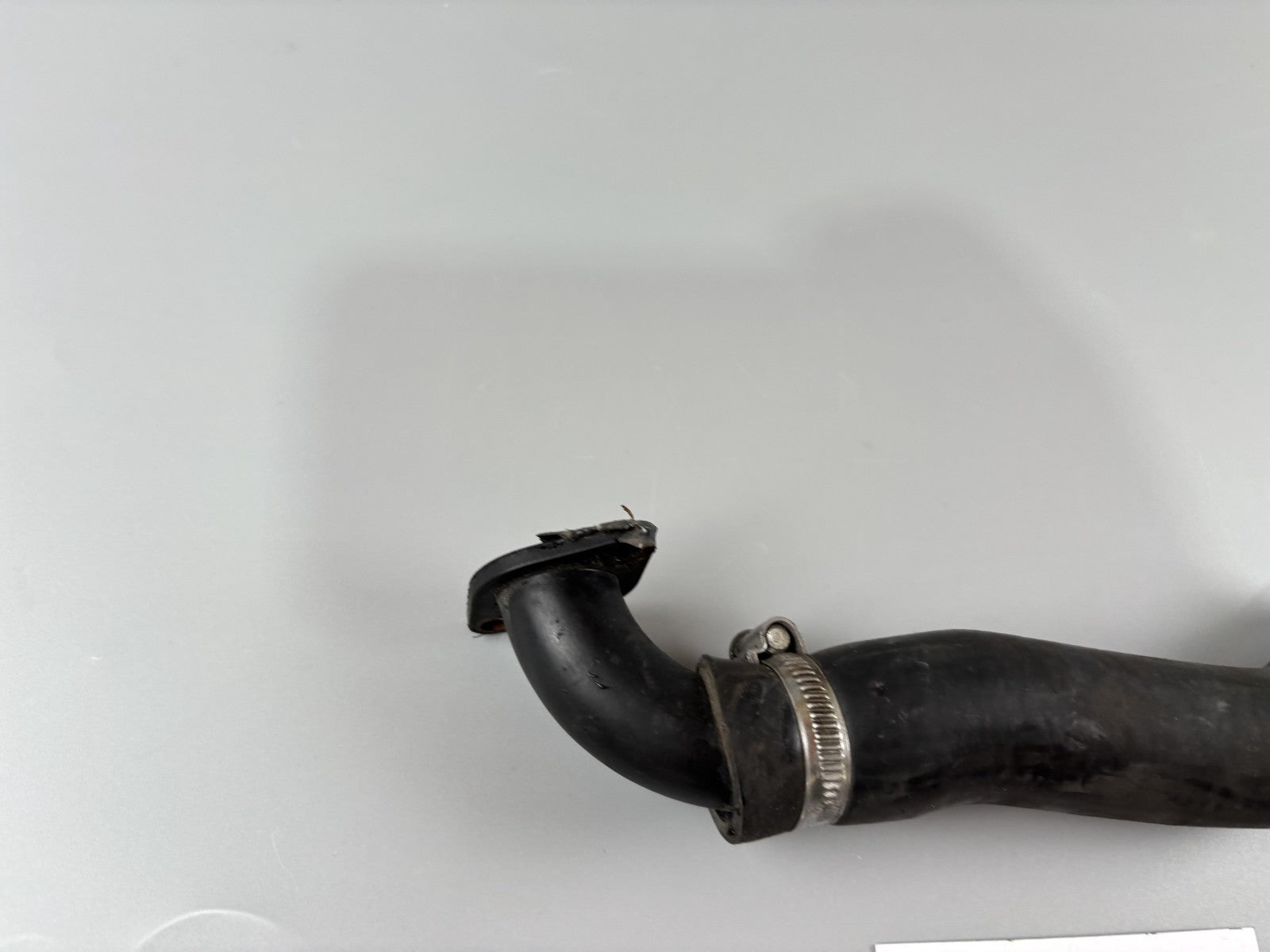 Triumph Daytona 955 T 595 Kühlerschlauch Cooler Pipeline Leitung