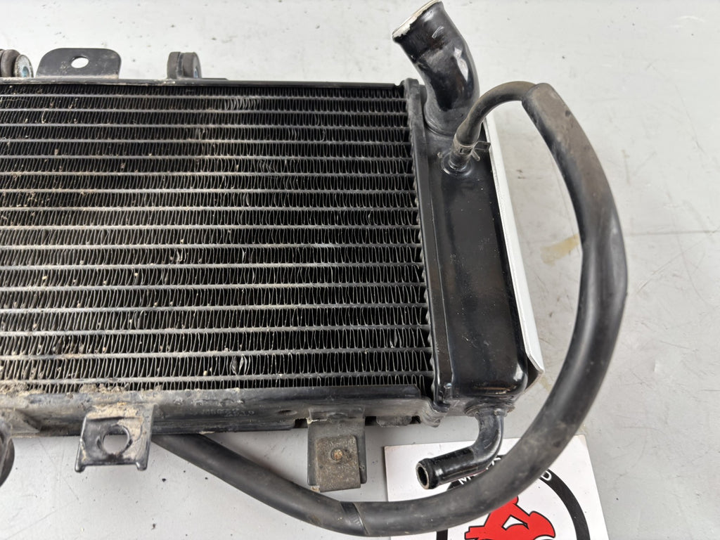 Yamaha FZS600 Fazer RJ02 Wasserkühler Cooler Watercooler Liquid