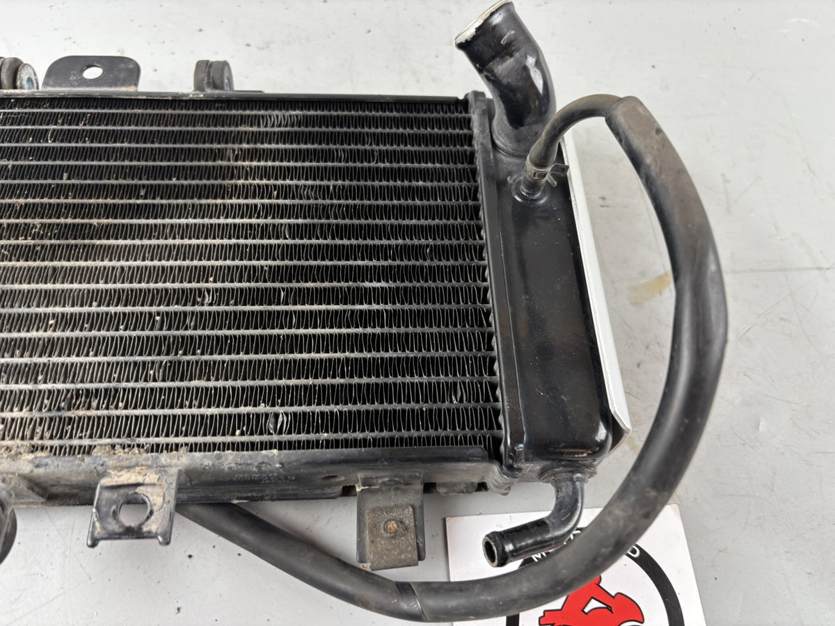Yamaha FZS600 Fazer RJ02 Wasserkühler Cooler Watercooler Liquid