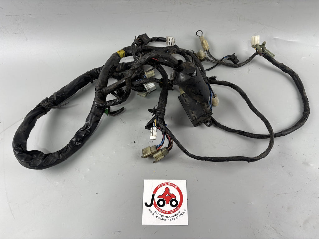 Yamaha YZF 1000 R Thunderace Kabelbaum Kabelstrang Cable Electric Stecker