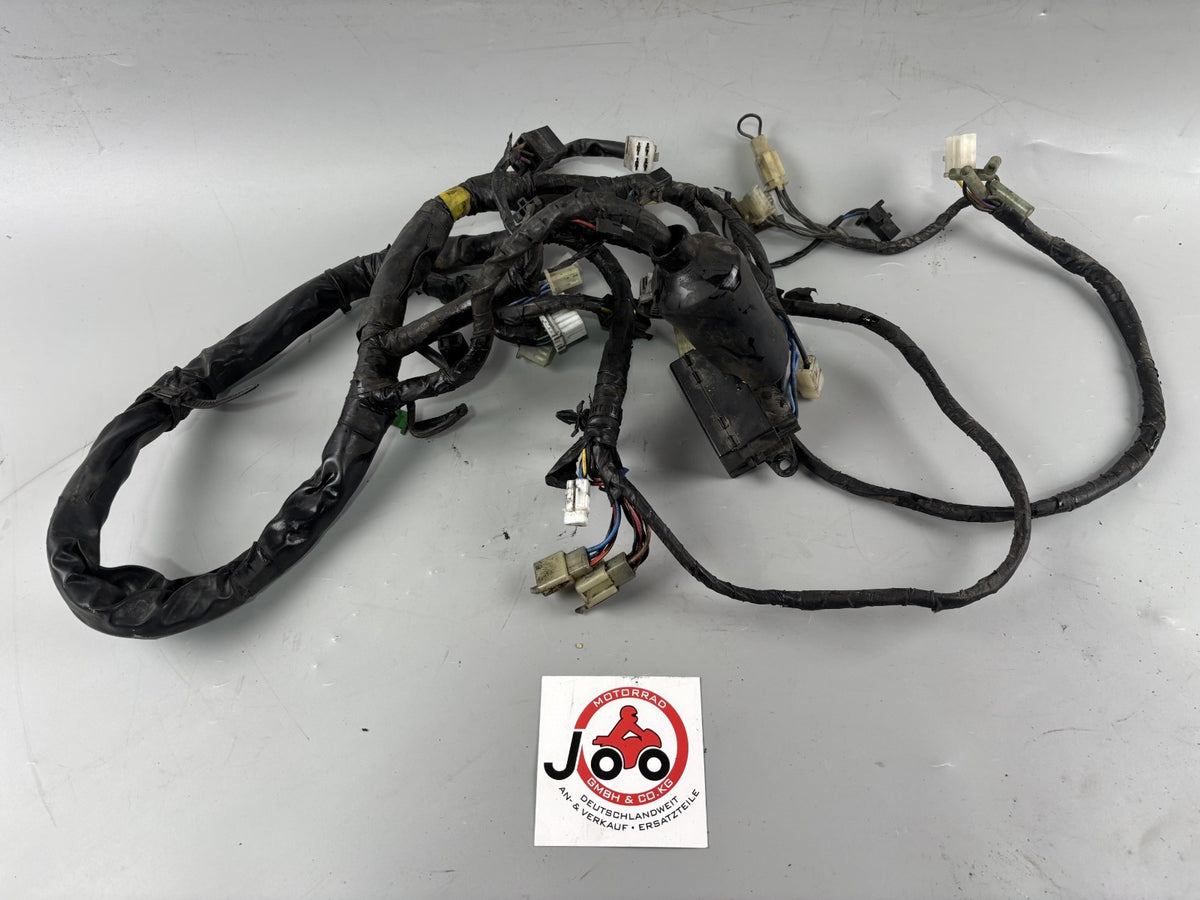 Yamaha YZF 1000 R Thunderace Kabelbaum Kabelstrang Cable Electric Stecker