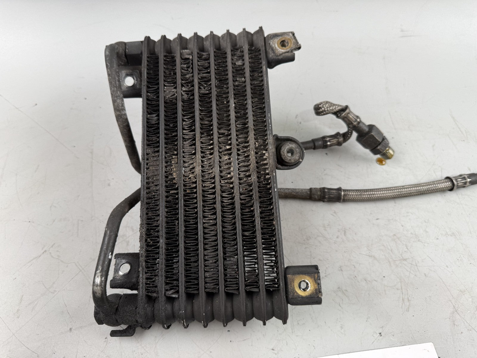 Triumph Daytona 1200 T300D Ölkühler Cooler Oil Liquid