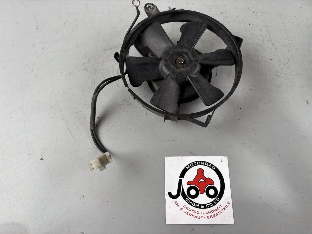 Honda Transalp XL 600 V PD06 Wasserkühler Watercooler Lüfter lüftung Ventilator