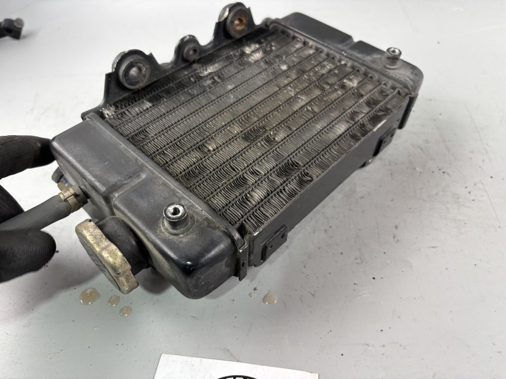 Honda Transalp XL 600 V PD06 Wasserkühler Watercooler liquid Kühlung Cooler